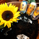 Illustration for article titled A Cellphone That Disintegrates and Sprouts Flowers, At Long Last
